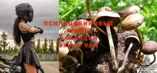 стафф Белокуриха