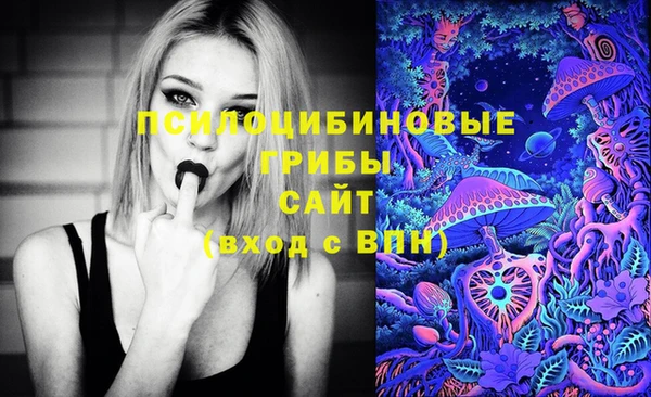 стафф Белокуриха