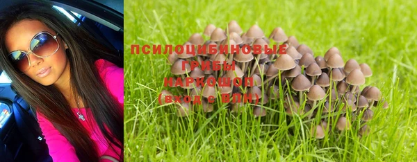 стафф Белокуриха
