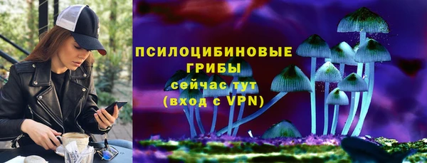 стафф Белокуриха