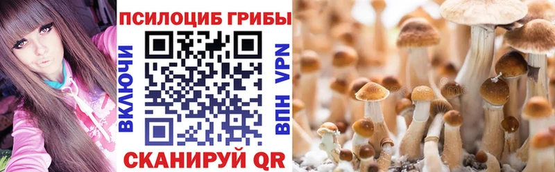 Галлюциногенные грибы Cubensis  где можно купить наркотик  Луховицы 